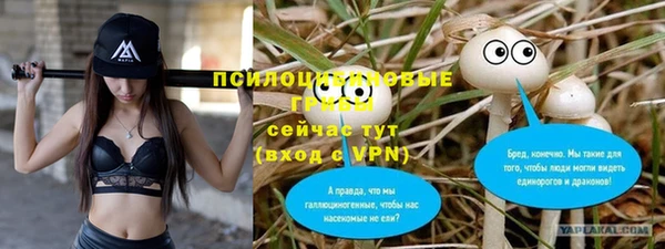 прущие крисы Абаза