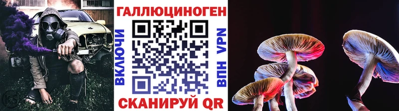 Галлюциногенные грибы Cubensis  хочу   Пойковский 